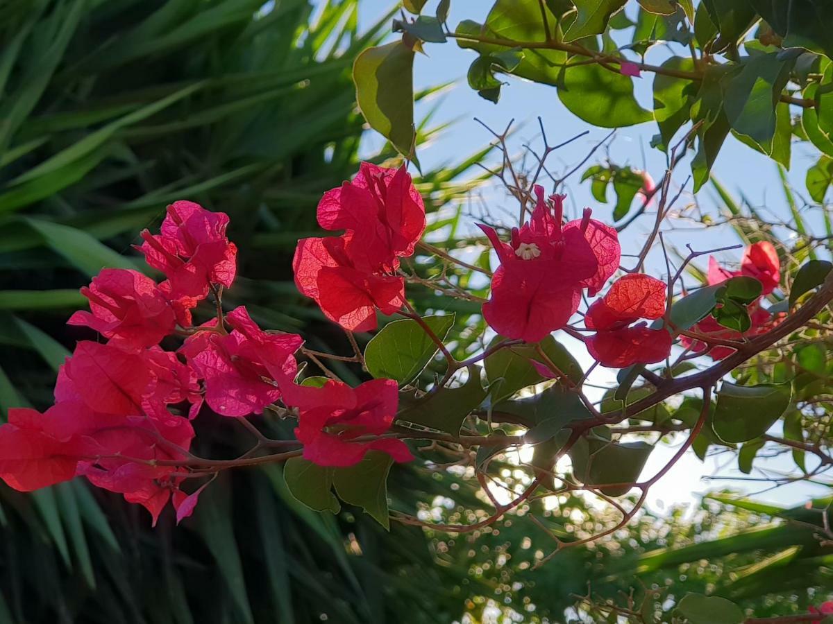 Casa Fuente De La Zorra ξενώνας Alora Εξωτερικό φωτογραφία